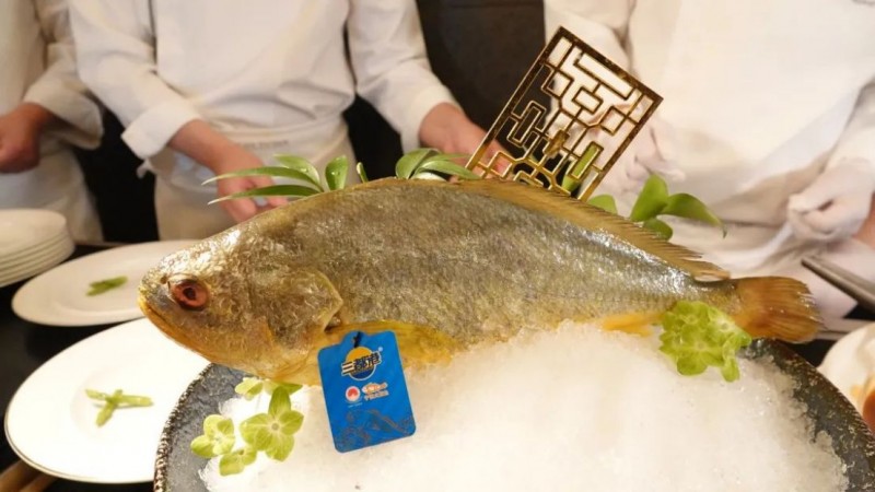深海至鮮對話豫式“米其林” 黃魚品鑒宴圓滿鯉成373